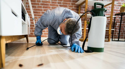 Why Pest Control Licensing Is Important for Industry Professionals